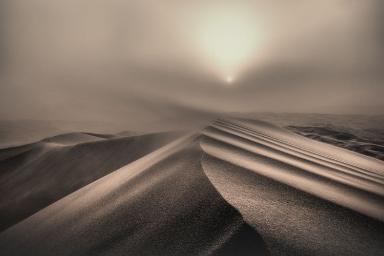 Picture of THE PERFECT SANDSTORM