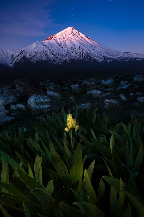 Picture of MOUNT DAMAVAND IN BLUE MOMENTS