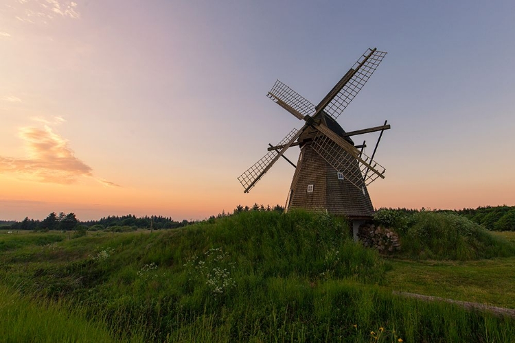 Picture of THE OLD MILL