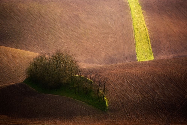 Picture of ROLLING HILLS