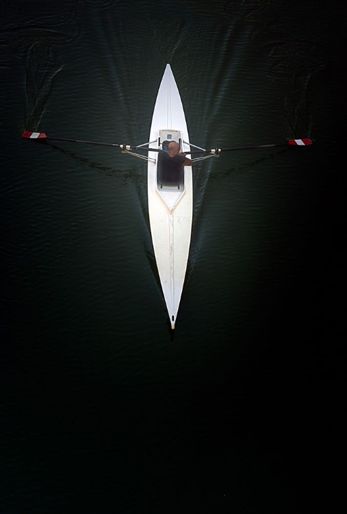 Picture of THE ROWER OF THE ARNO RIVER