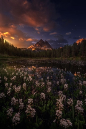 Picture of GOLDEN FLOWERS