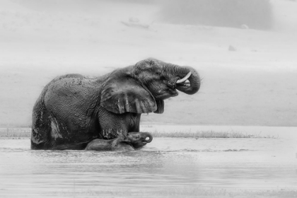 Picture of CROSSING THE REIVER WITH MOTHER