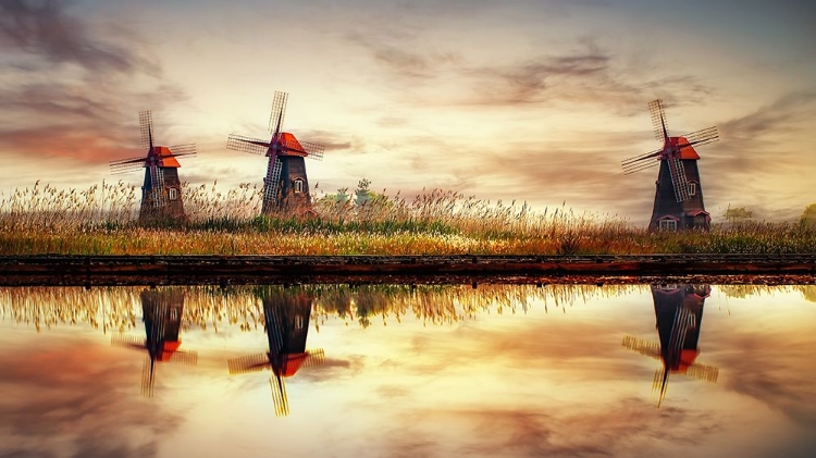 Picture of WINDMILLS ON SALT POND