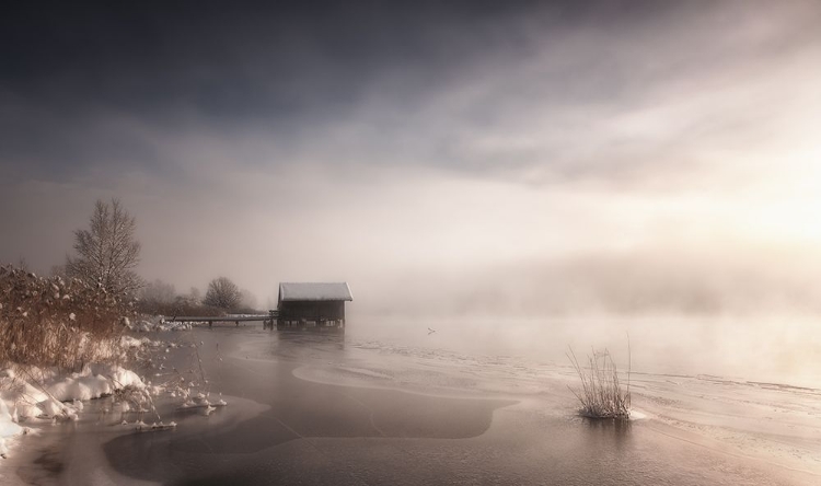 Picture of MISTY WINTER MORNING