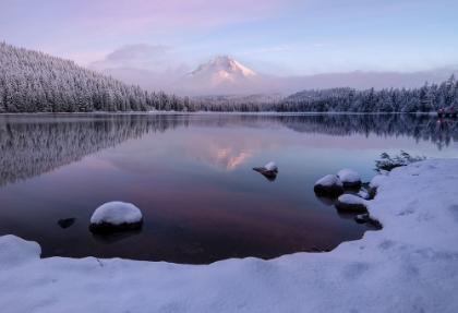 Picture of FIRST SNOW MEET FIRST LIGHT