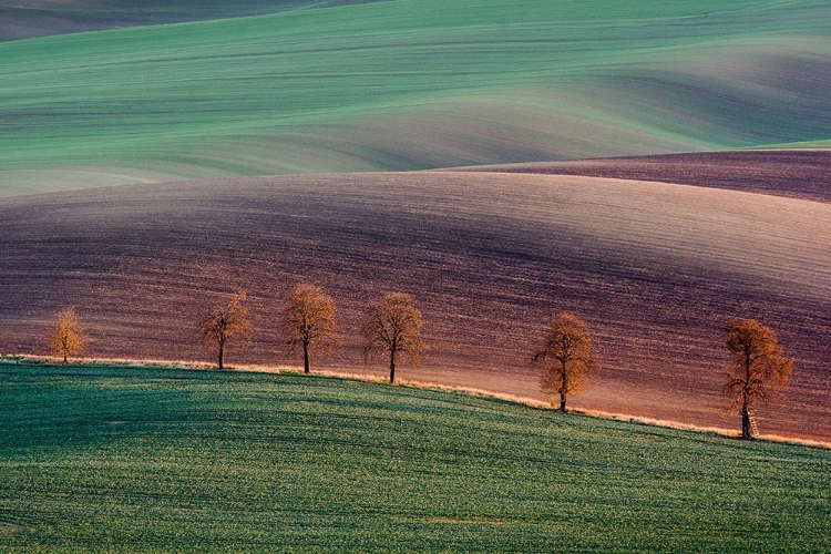 Picture of MORAVIAN LANDSCAPE