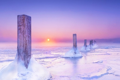 Picture of ICY HARBOUR