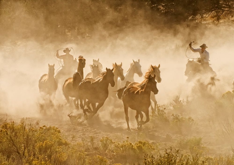 Picture of TENDING THE HERD