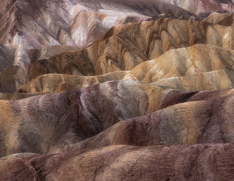 Picture of PAINTED DESERT