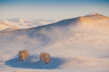 Picture of CAPPUCCINO LAND