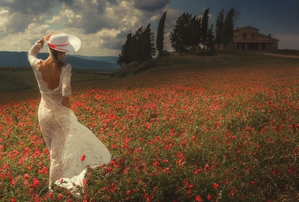 Picture of WALKING IN TUSCANY