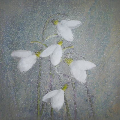 Picture of SNOWDROPS