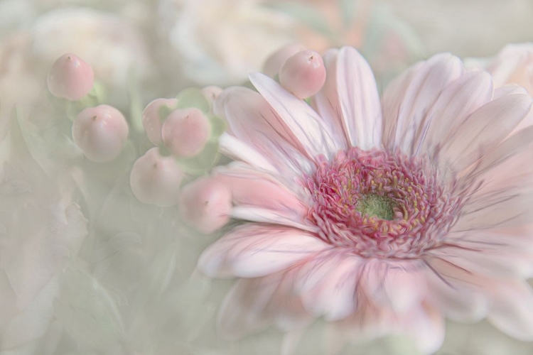 Picture of FLOWERING HAPPINESS