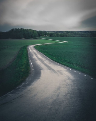 Picture of ROAD IN THE COUNTRYSIDE