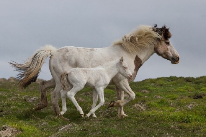 Picture of MOTHERAAS RUNNING LESSON