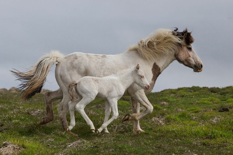 Picture of MOTHERAAS RUNNING LESSON