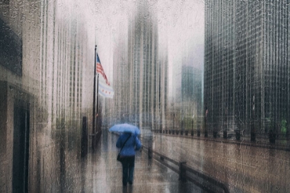 Picture of DUSABLE BRIDGE