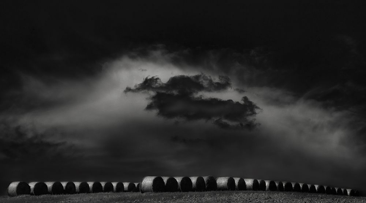 Picture of WHEELS OF HAY SOAKING IN LATE SUNSHINE...