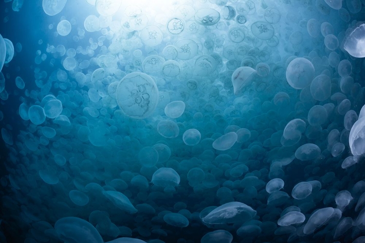 Picture of CLOUDS SPREADING IN THE SEA