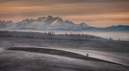 Picture of AS AUTUMN LEFT THE FIELDS