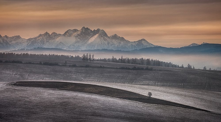 Picture of AS AUTUMN LEFT THE FIELDS