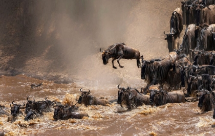 Picture of CROSSING MASA RIVER