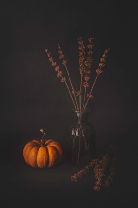 Picture of LAVENDERS AND THE PUMPKIN