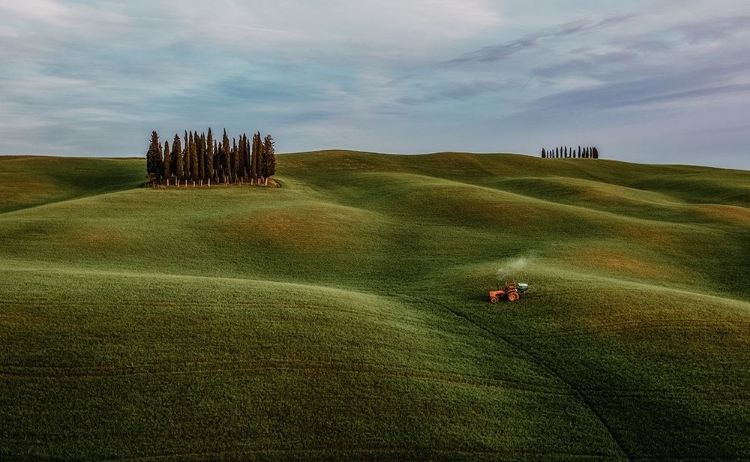 Picture of BUSY TRACTOR IN VAL DORCIA