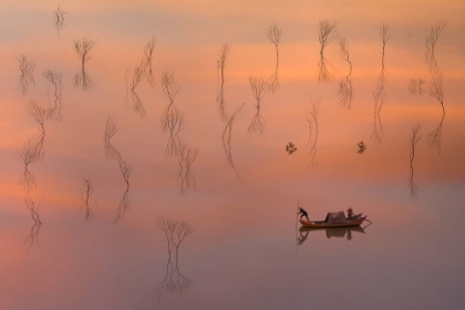 Picture of MANGROVE KEEPER