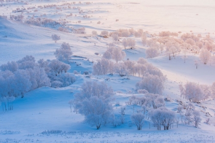 Picture of A WORLD OF ICE AND SNOW