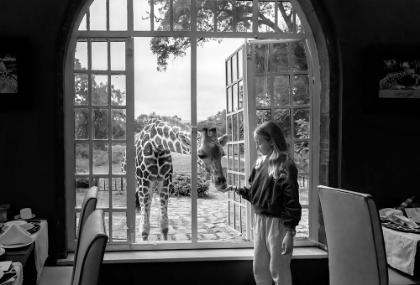 Picture of GIRAFFE AND GIRL