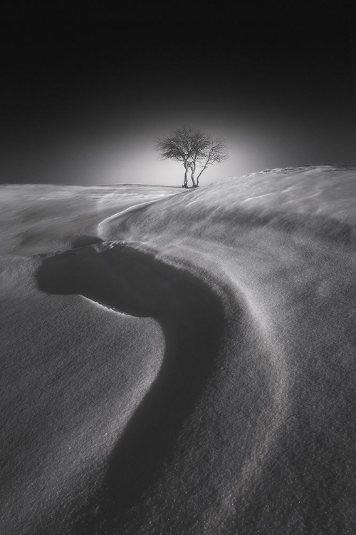 Picture of SHADOW OF THE S SHAPE ON THE SNOW