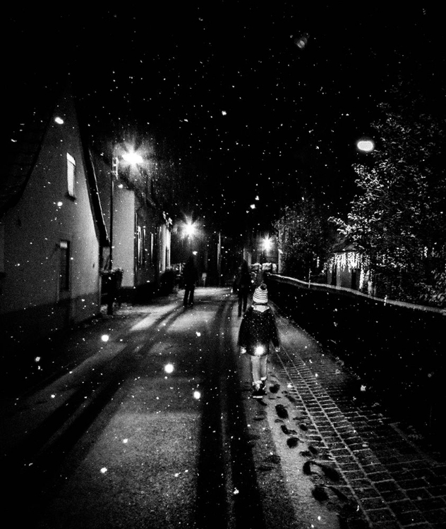 Picture of SNOW BY NIGHT