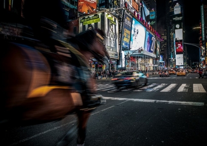 Picture of THE HORSE THAT RUNS IN TIMES SQUARE