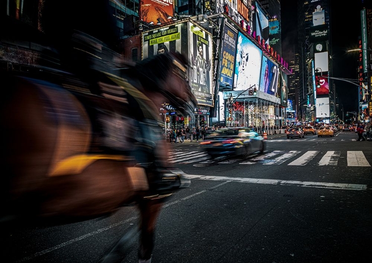 Picture of THE HORSE THAT RUNS IN TIMES SQUARE