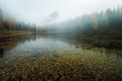 Picture of TRE CIME CONCEALED