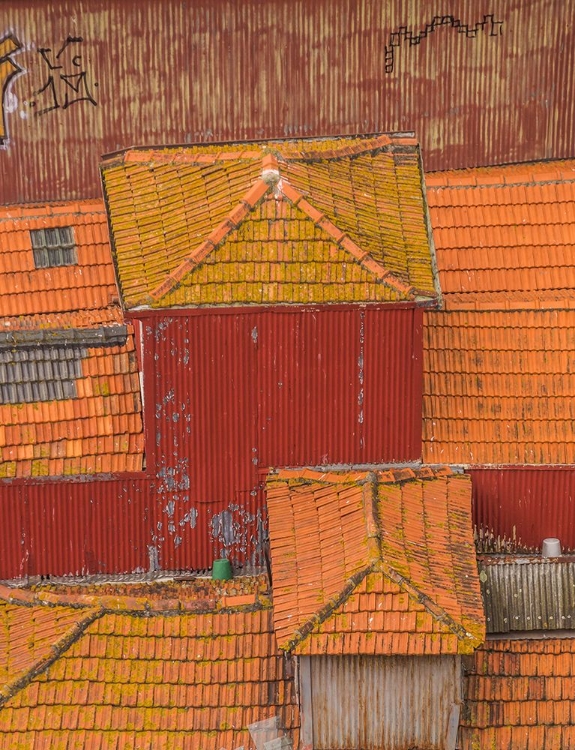 Picture of ROOFTOPS OF PORTO