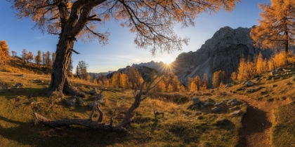 Picture of AUTUMN PARADISE