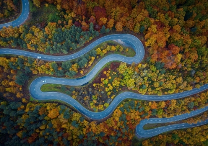 Picture of AUTUMN EXPLODES