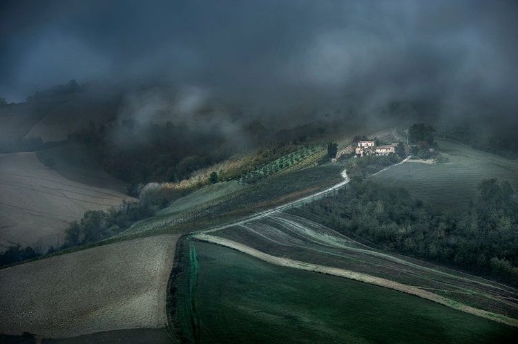 Picture of SUNBEAMS IN THE FOG