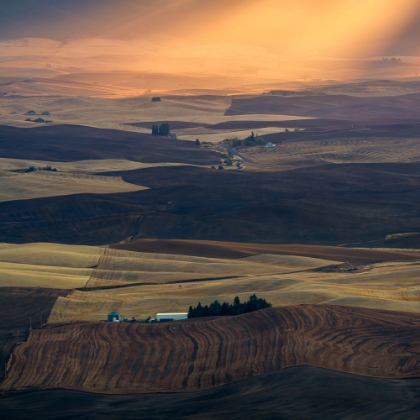 Picture of PALOUSE IMPRESSION