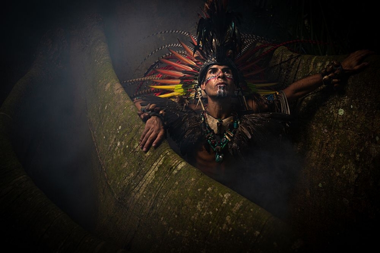 Picture of MEXICA WARRIOR - MORNING HUNT