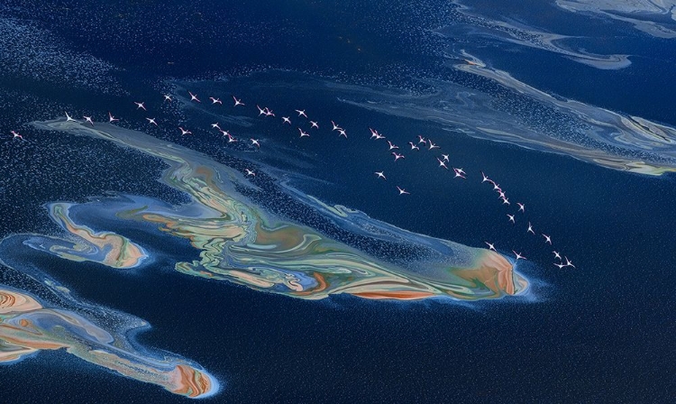 Picture of MAGADI LAKE