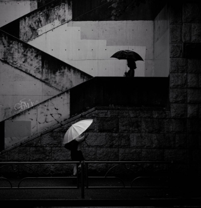 Picture of A BLACK UMBRELLA AND  A WHITE UMBRELLA