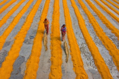 Picture of WOMAN AT WORK