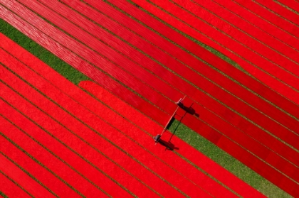 Picture of DRYING FABRICS