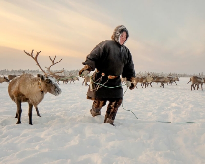 Picture of NENET AND REINDEER