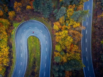 Picture of THE ROAD