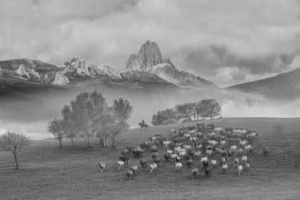 Picture of MERCEDES BENZ IN TIANSHAN